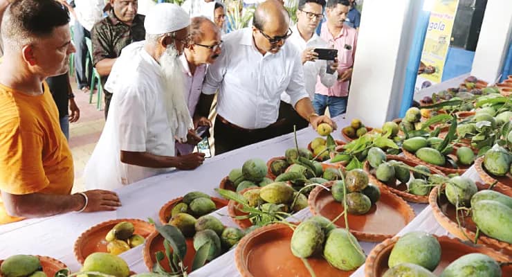 ভগবানগোলা আম উৎসবে সেলিব্রিটি মিয়াজাকি, সেলফি তোলার ‘হিড়িক’
