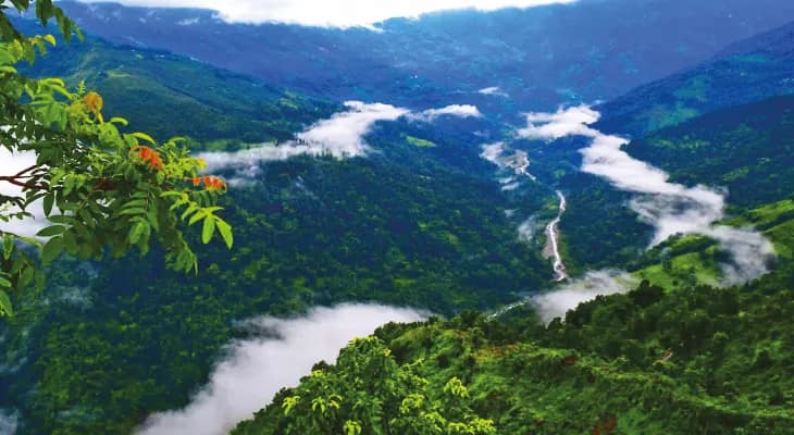 মেঘ কুয়াশায় ঘেরা মংপু