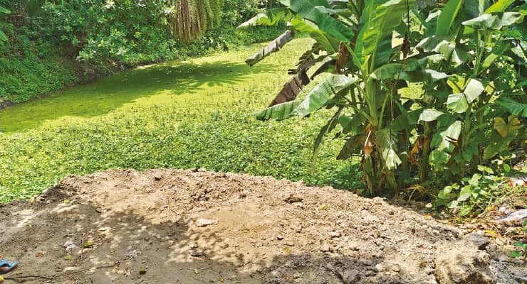 নবদ্বীপে রমরমিয়ে চলছে অবৈধভাবে পুকুর ভরাট, উদাসীন প্রশাসন
