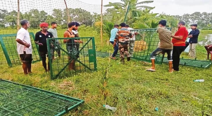 মাতলা নদী-দু’খানা খাল সাঁতরে গ্রামে বাঘ ঝড়খালি থেকে কুলতলি কোন পথে? প্রশ্ন