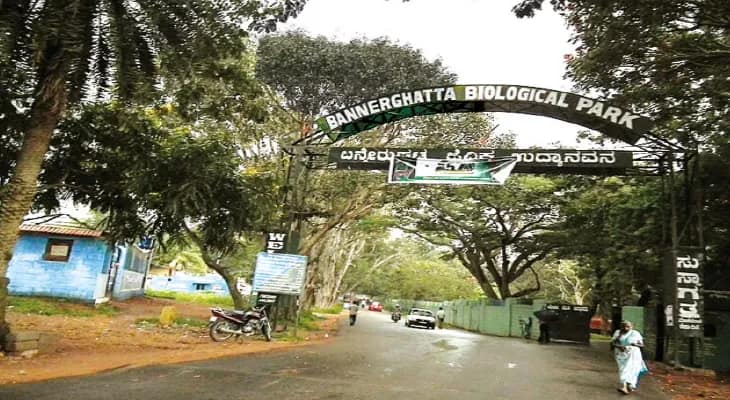 বাঘ-সিংহের হেডমিস্ট্রেস
