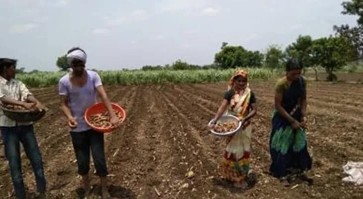 ঝাড়গ্রামে জমির স্বাস্থ্য পরীক্ষা, হেল্থ কার্ড বিলি কৃষিদপ্তরের