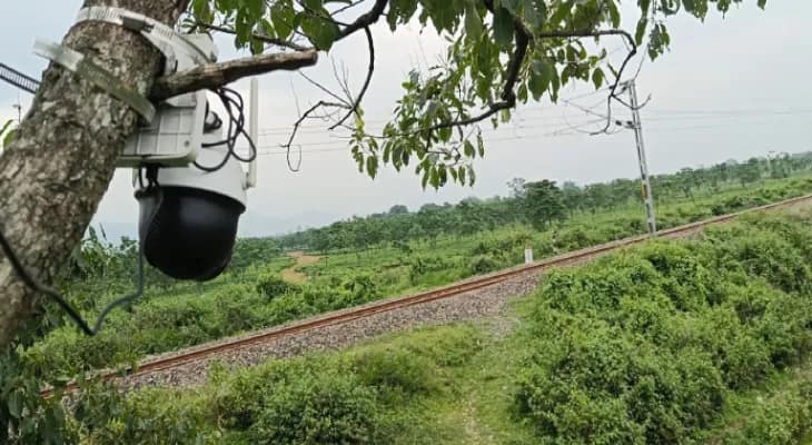 চারটি বনে বসল ৬০টি সিসি ক্যামেরা, গ্রামে হাতি ঢোকার আগেই খবর পাবেন বনকর্মীরা