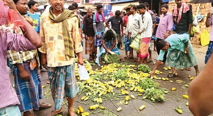 দাম নেই, হরিহরপাড়ায় রাজ্য সড়কে সব্জি ফেলে বিক্ষোভ দেখালেন চাষিরা