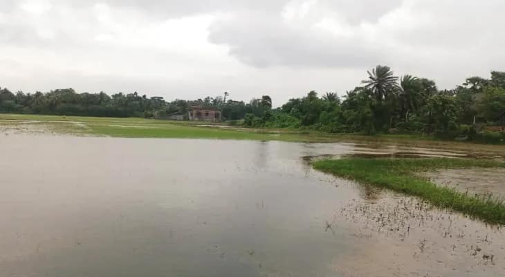 দিনভর বিক্ষিপ্ত বৃষ্টিতে জমল জল, গরমের হাত থেকে স্বস্তি