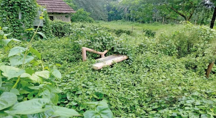 আগাছায় বেহাল বাগনানের  মা-মাটি-মানুষ শিশু উদ্যান