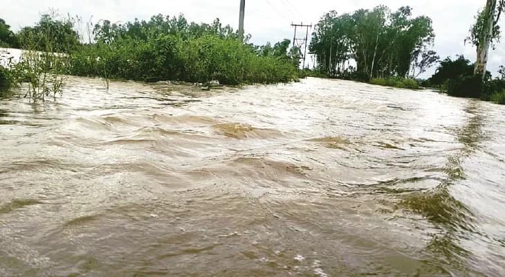 বর্ষার শুরুতেই বন্যার আশঙ্কায় কাঁপছেন আরামবাগের মানুষ
