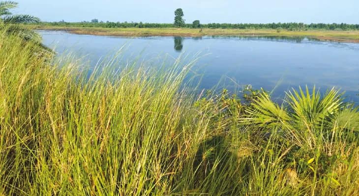 ঝাড়গ্রামের ‘পহেলগাঁও’ কপাটকাটার ঝিল  উপত্যকাকে ঘিরে বাড়ছে পর্যটকদের আগ্রহ