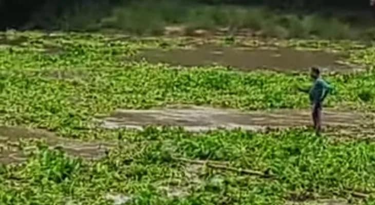 ফুলেফেঁপে উঠেছে কংসাবতী নদী, ভেসে গেলেন এক ব্যক্তি!