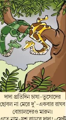 মজারু