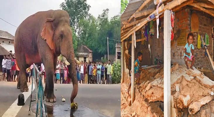 ঝাড়গ্রামের জারুলিয়ায় হাতির তাণ্ডবে ভাঙল ৭টি কাঁচা বাড়ি, বনকর্মীদের ঘিরে বিক্ষোভ গ্ৰামবাসীদের