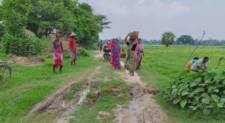 মাথায় মাটি বয়ে এনে কাঁচা রাস্তা মেরামত মহিলাদের