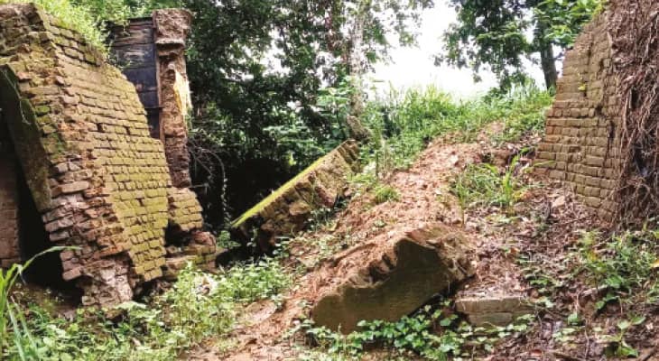 বাঁধ মেরামত হয়নি, আমন চাষ না করার সিদ্ধান্ত পলাশীর চাষিদের