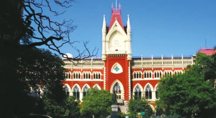 পূর্ব কলকাতা জলাভূমি বাঁচাতে দুই বিদ্যুৎ বণ্টন সংস্থাকে সক্রিয় হতে নির্দেশ