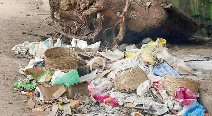 সিউড়ি শহরে রাস্তায় নোংরা ফেললে জরিমানা, নীল-সবুজ ২০ হাজারের বেশি বালতি দেবে পুরসভা