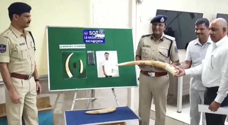 হায়দরাবাদে ৩ কোটি টাকার হাতির দাঁত উদ্ধার করল বনদপ্তর