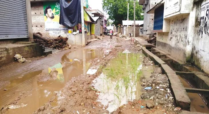বেহাল কান্দির আন্দুলিয়া গ্রামের রাস্তা, ধানের চারা পুঁতে প্রতিবাদ