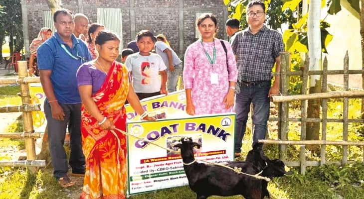 ‘ব্ল্যাক বেঙ্গল গোট ব্যাঙ্ক’ করার স্বপ্ন নিয়ে এগচ্ছে সাতমাইল সতীশ ক্লাব