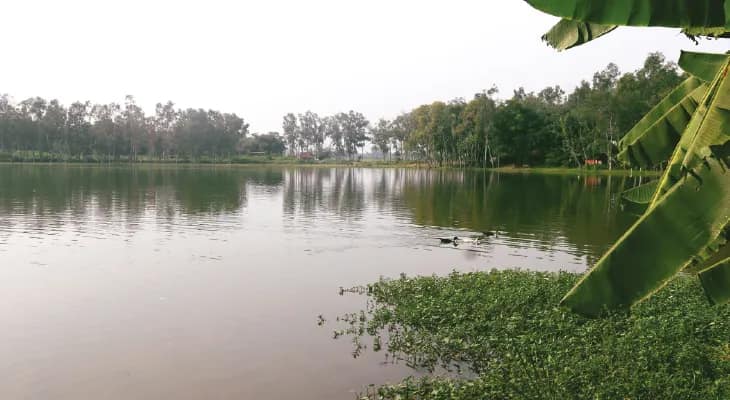 বাঁকুড়া থেকে মশাগ্রাম হয়ে জুড়ল হাওড়া, ভাবাদিঘির জট কাটিয়ে কবে বিষ্ণুপুর পর্যন্ত ছুটবে রেল, উঠছে প্রশ্ন