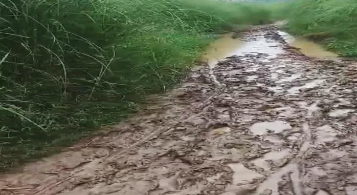 কাটোয়ার কালিকাপুর ফেরিঘাট নিয়ে চরম ভোগান্তি, কাদা ডিঙিয়ে যাতায়াত করতে হয় দুই  জেলার বাসিন্দাদের, রাস্তা তৈরির দাবি