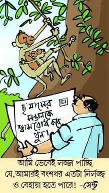 মজারু