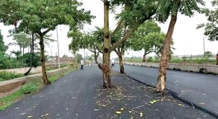রাস্তার মাঝে গাছ, পাটনা-গয়া রোড যেন মরণফাঁদ
