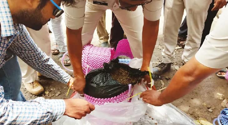 লেডিজ হ্যান্ডব্যাগের আড়ালে গাঁজা পাচার, রামপুরহাটে বেসরকারি বাস থেকে গ্রেপ্তার যুবক