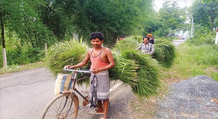 ঝাড়গ্রামের বামুনাবাঁধের ঝাড়ুর কদর হাওড়া, কলকাতায়, সরকারি সাহায্যপ্রার্থী কারিগররা