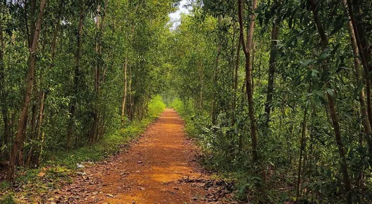 ঝাড়গ্রাম ভ্রমণে অফবিটের হদিশ দেবেন ৮০ জন গাইড