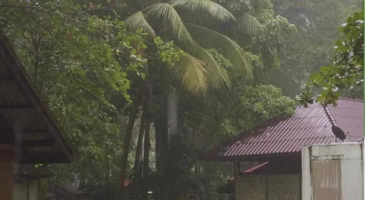 আগামী ২-৩ ঘণ্টার মধ্যে মুর্শিদাবাদ জেলার কিছু অংশে হালকা থেকে মাঝারি বৃষ্টিপাতের সম্ভাবনা