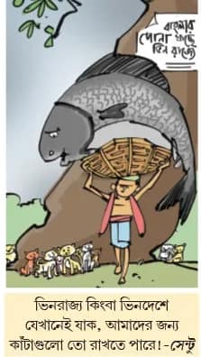 মজারু
