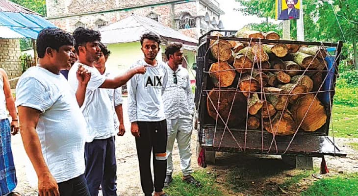 গাছ পাচারের চেষ্টা, গুঁড়ি সহ গাড়ি আটক করা হল সুতিতে