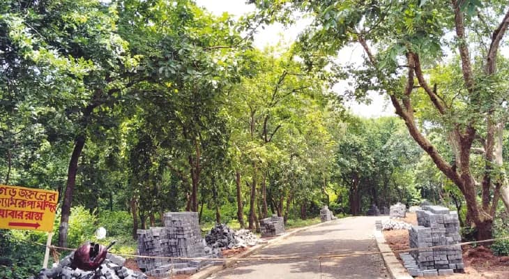 কাঁকসার ঘন জঙ্গলে ঘেরা শ্যামরূপা মন্দির এখন পর্যটনস্থল, ভক্তের ঢল