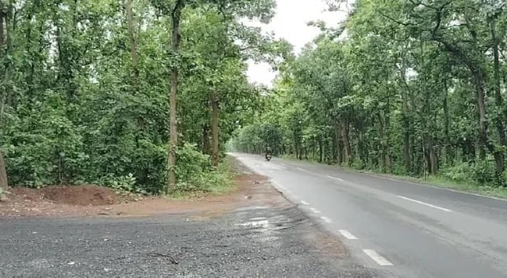 দুর্গাপুরে বর্ষায় গড়জঙ্গলে ‘ফরেস্ট অ্যাডভেঞ্চার’, নজরদারি পুলিসের