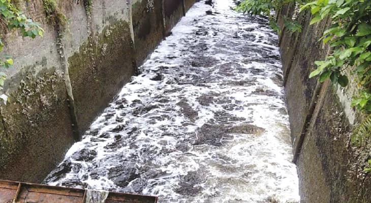 কারখানার দূষিত জল হুগলি নদীতে, হবে যৌথ পরিদর্শন