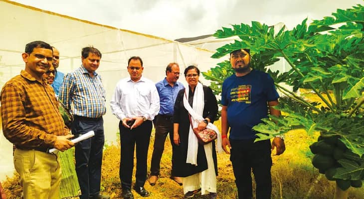 ‘রেডলেডি’ পেঁপে, ‘মিল্কি’ মাশরুম দেখে খুশি উদ্যানপালন দপ্তরের সচিব