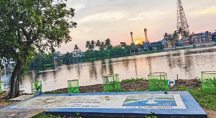 উলুবেড়িয়া ১ ব্লক: পুকুরে জমছে শৌচবর্জ্য, পরিষ্কারের অভিনব উদ্যোগ পঞ্চায়েত সমিতির