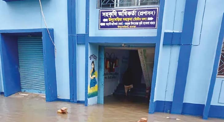 হাওড়ায় টানা বৃষ্টিতে জেলায় সব্জি, ফুলচাষে ক্ষতির আশঙ্কা