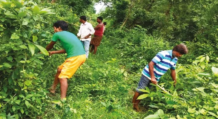 গোঘাটে বরুণ খুনে নয়া মোড় মদ খেতে ডেকেছিল ‘ভাগ্নে’, মূল অভিযুক্তকে নিয়ে ঘটনার পুনর্নির্মাণ পুলিসের