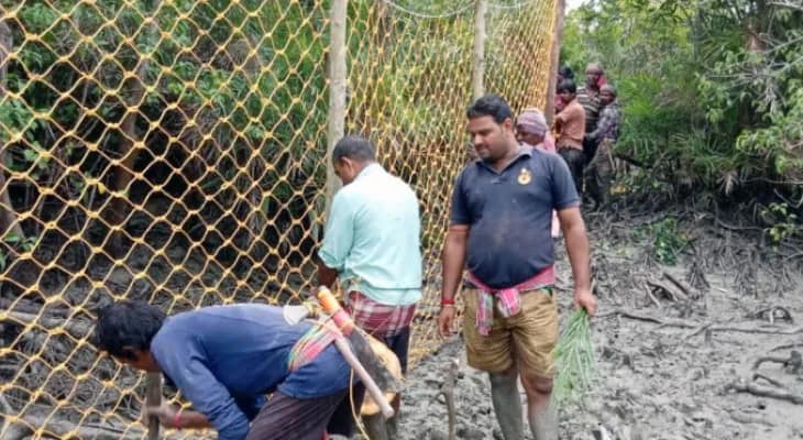 সুন্দরবনের ১০০ কিমি জঙ্গল এলাকা ঘেরা হবে স্টিলের জালে