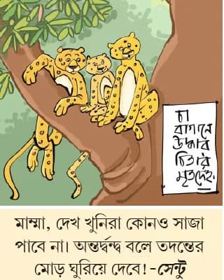 মজারু