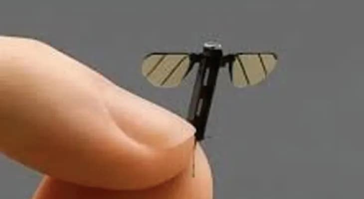 মশার আকৃতির ড্রোন!