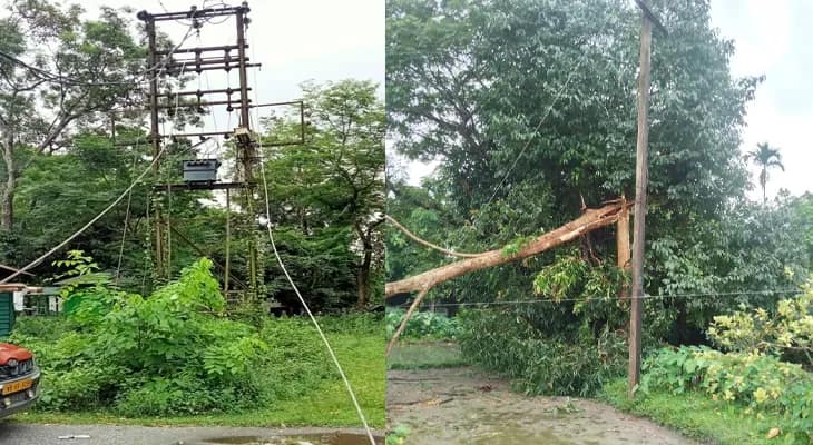 ঝড়ের জেরে লণ্ডভণ্ড ইলেকট্রিক ট্রান্সফরমার, পোস্ট! প্রায় ১৫ ঘণ্টা বিদ্যুৎহীন আলিপুরদুয়ার