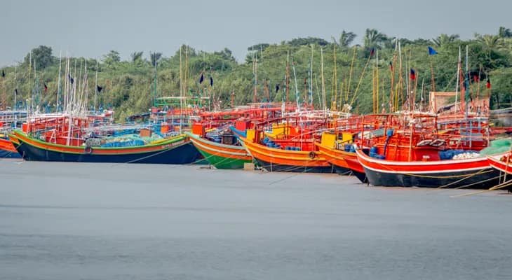 বোট লাইসেন্স ছাড়াই মাছ ধরতে যাচ্ছেন ক্যানিংয়ের মৎস্যজীবীরা
