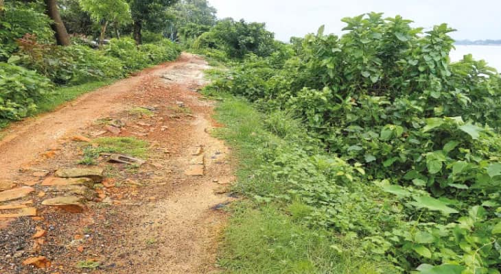 চককাশীতে ক্রমশ বসছে নদীবাঁধ, আতঙ্ক এলাকায়