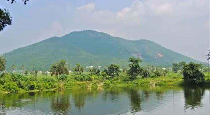 শুশুনিয়া পাহাড়ে ছোড়া হবে ‘সিড বম্ব’, চলতি বর্ষায় ৭ লক্ষ নতুন চারাগাছ রোপণ করবে বাঁকুড়া উত্তর বনবিভাগ
