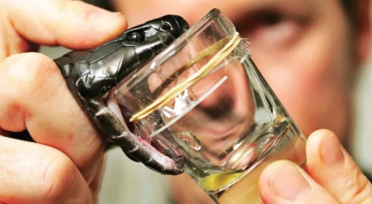 সাপে কাটা নিয়ে গবেষণা শুরু করছে কল্যাণী এইমস, ক্যানিং মহকুমা হাসপাতালে নমুনা সংগ্রহ