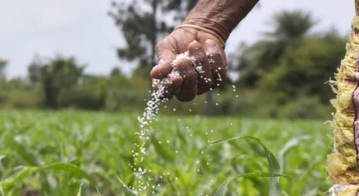 নিম্নমানের সার, বেচাকেনায় নিষেধাজ্ঞা জারি কৃষিদপ্তরের