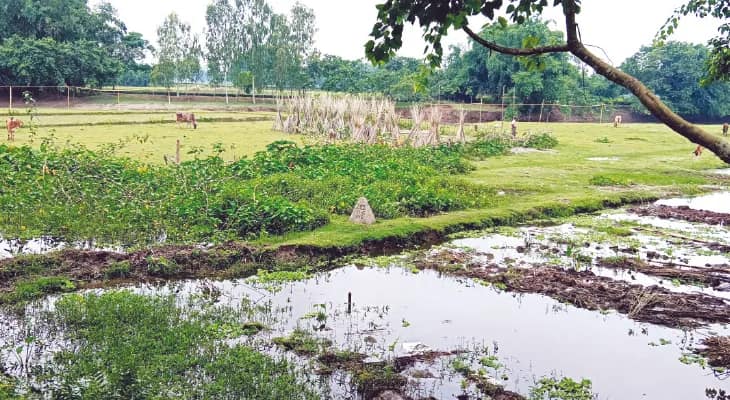 বাংলাদেশে অশান্তি, আতঙ্কে দক্ষিণ বেরুবাড়ির উন্মুক্ত সীমান্তের বাসিন্দারা, তিনটি গ্রাম কাঁটাতারের জন্য জমি দিতে নিমরাজি