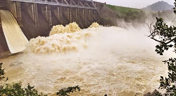 টানা বৃষ্টি ও ডিভিসির ছাড়া জলে জেলায় ১০০ বিঘা জমিতে নষ্ট ধানের বীজতলা